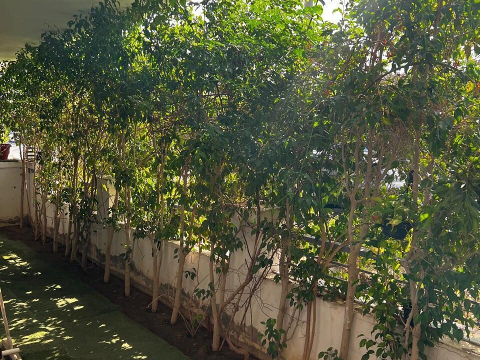 68e3c9344e23c_WhatsApp-Image-2025-10-06-at-4.17.52-PM-(4)