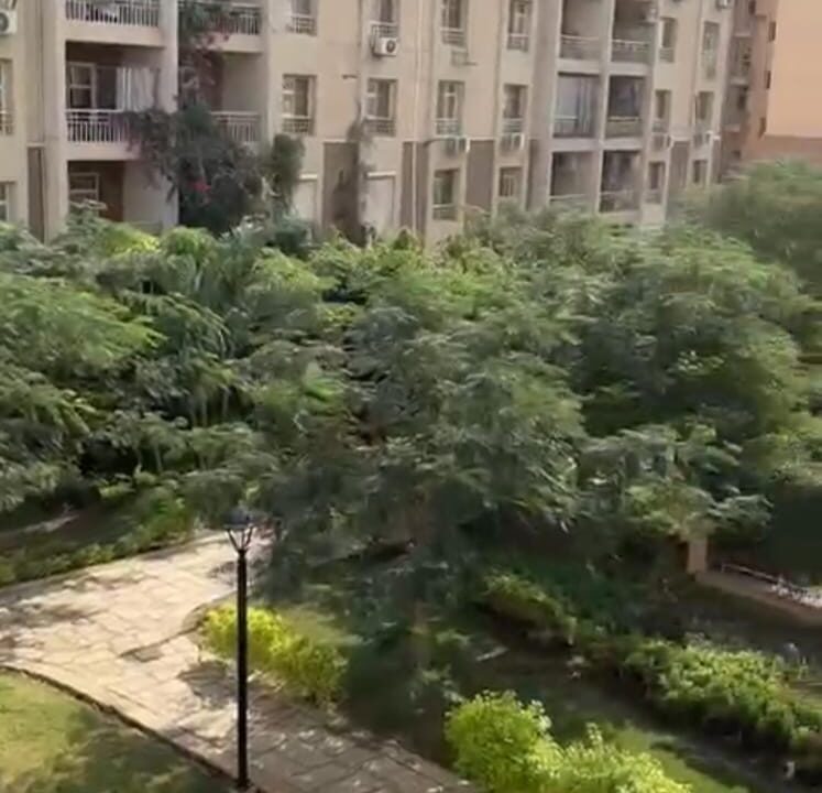 696e03cde40ec_WhatsApp-Image-2026-01-19-at-12.12.50-PM