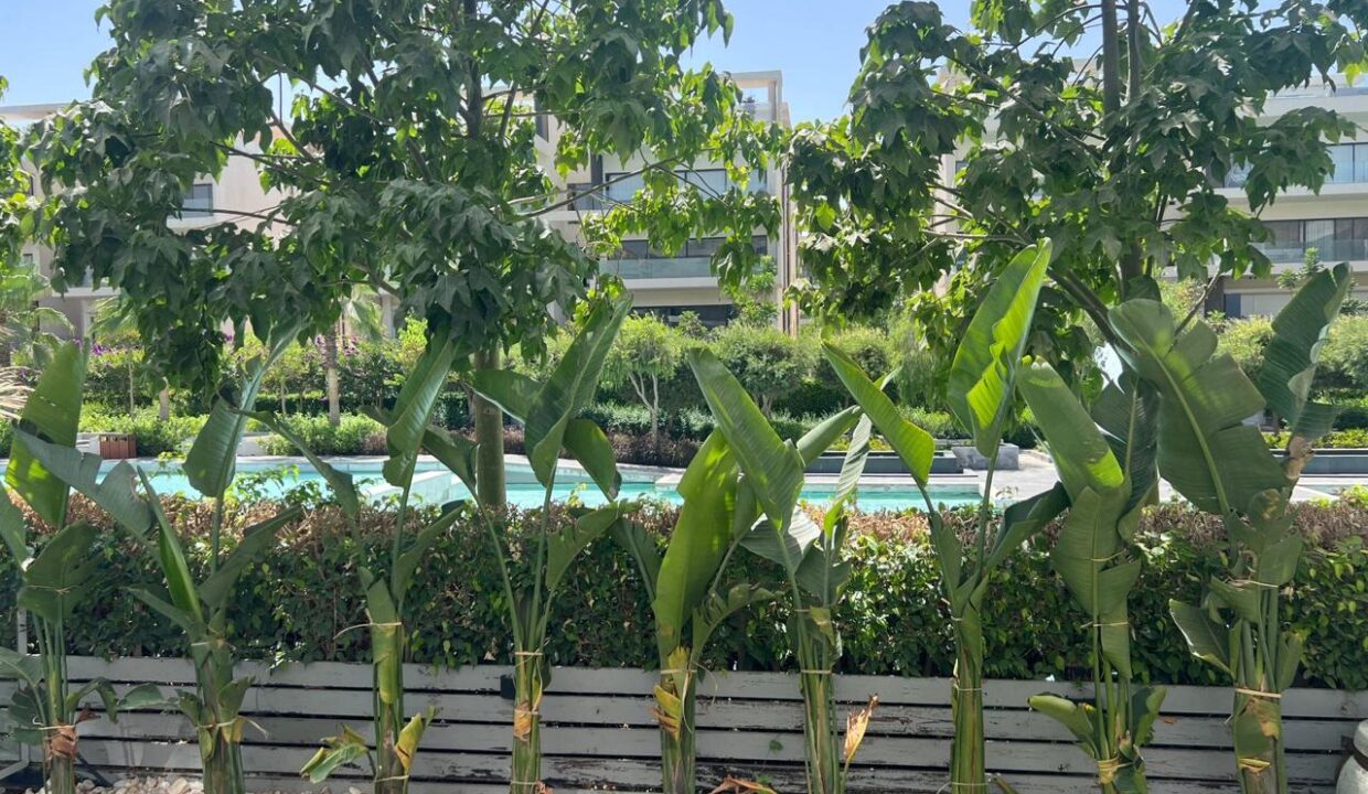 696fb66fc3fc3_WhatsApp-Image-2026-01-20-at-6.17.57-PM